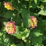 Фото профиля seeker789