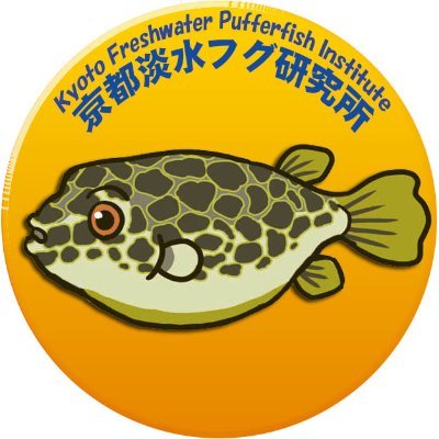 京都淡水フグ研究所's profile picture