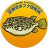 京都淡水フグ研究所 profil fotoğrafı