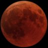 Фото профиля Lunareclipse