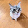 JerryโYou're ALFEE's crew,too๐'s profile picture