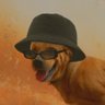 CAIO's profile picture