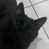 Marius's profile picture