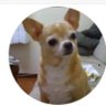 @Lelecaa's profile picture