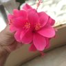 pranay's profile picture