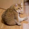 olivermm's profile picture