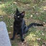 j f profil fotoğrafı