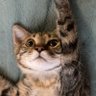 ゆずルイメイママ profil fotoğrafı