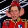 Profilbild von chitoff