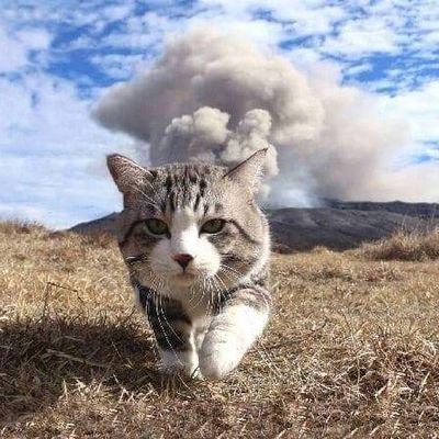 Pink45641's profile picture