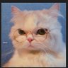 SAR2 profil fotoğrafı