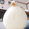 サンドロック 的头像