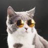 Profilbild von Pengamat Iklan Yutub