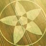 TruthisAll's profile picture