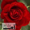 🌹ام عبدالله🌹 的头像