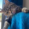 Forever Sneezy profil fotoğrafı