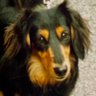 Profilbild von じゃっころ
