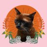 (ΦωΦ)ฅ♡ฅ(≚ᄌ≚) ทาสแมวจงเจริญ🔥🧊's profile picture
