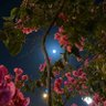 فبراير's profile picture