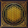 Фото профиля Siva_Hatton