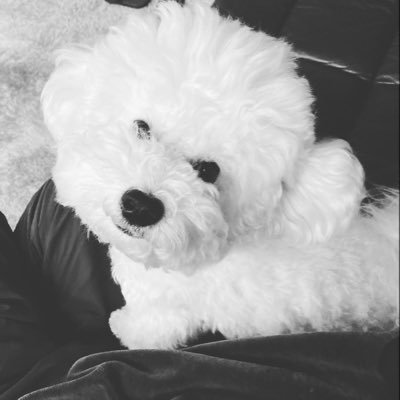 hshppk's profile picture