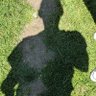 drksc8 4.0's profile picture