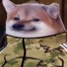 Niizuki's profile picture