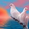 البراق's profile picture