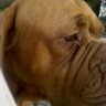 robert miller's profile picture