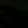 Bryan McC's profile picture