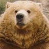 권스텀's profile picture