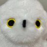 Фото профиля ミィみぃ丸