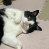 びー花モカママ profil fotoğrafı