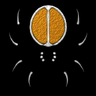 VectorRoll's profile picture