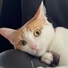 Profilbild von eptngo