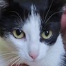 Profilbild von BMacD