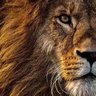 BlackMane Global Macro's profile picture