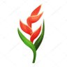 روشا profil fotoğrafı