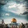 Фото профиля زكريا محمد عبد العاطي