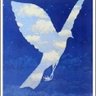 切田長官's profile picture