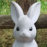 Profilbild von chrisネムリネコ