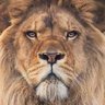 Phillip Ruthven profil fotoğrafı