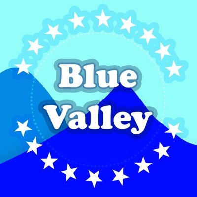 BlueValleyDAO's profile picture