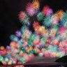 🎆花火🎆 profil fotoğrafı