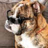 smave profil fotoğrafı