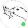 Profilbild von Nide