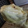 ユキユキ 的头像