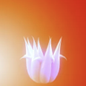 jcroff's profile picture
