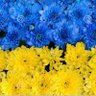 书咄咄 🇪🇺🇫🇷🇺🇦 的头像