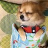 そら 的头像